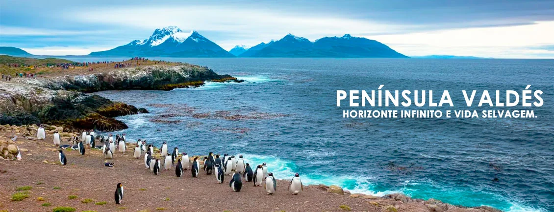 Pacotes de Viagem para 