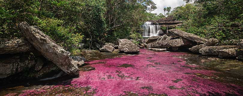 Pacote-de-Viagem-para-Cano-Cristales-03.jpg