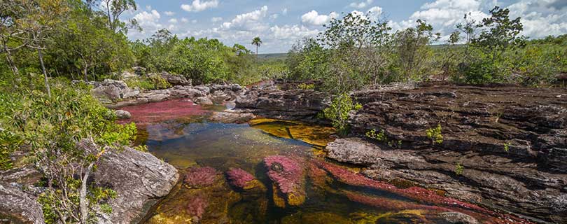 Pacote-de-Viagem-para-Cano-Cristales-06.jpg