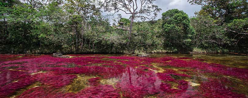 Pacote-de-Viagem-para-Cano-Cristales-08.jpg